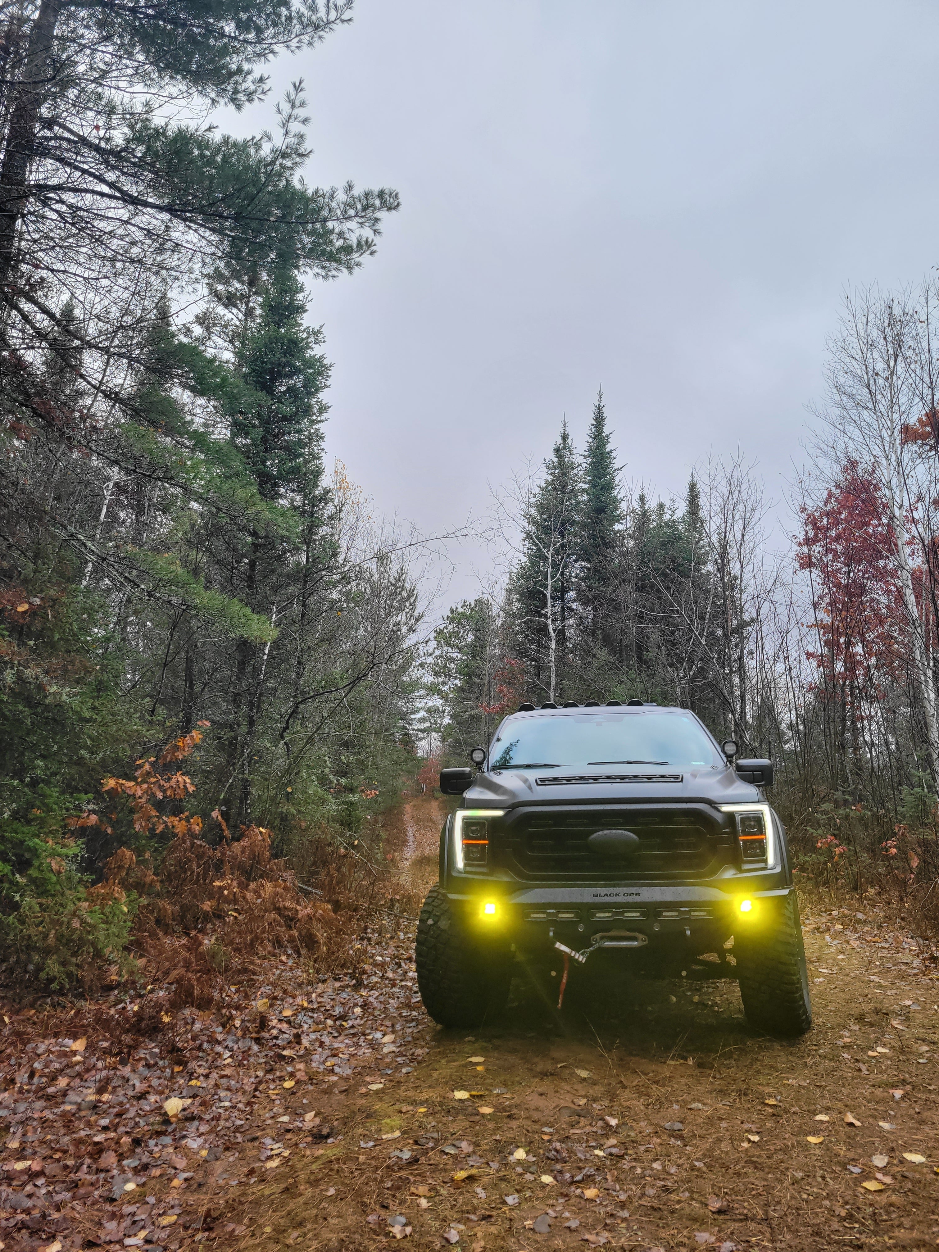 0606 Amber, Wide Symmetric