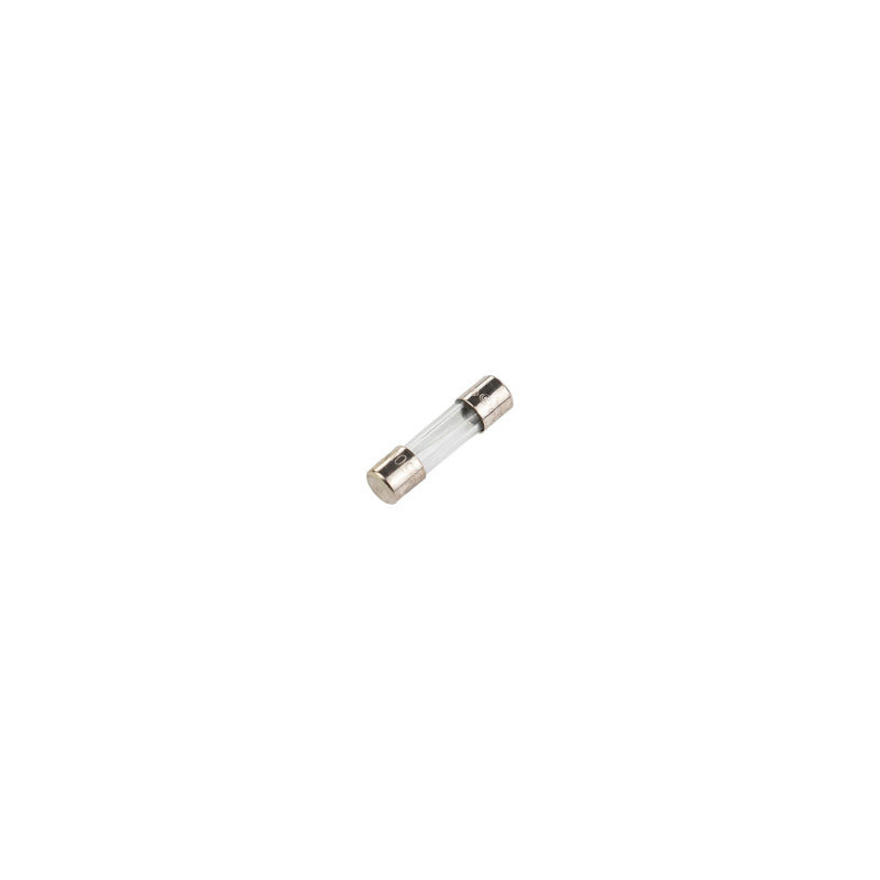 ARB 100-240V AC fuse 4A F4L250V for ARB fridge