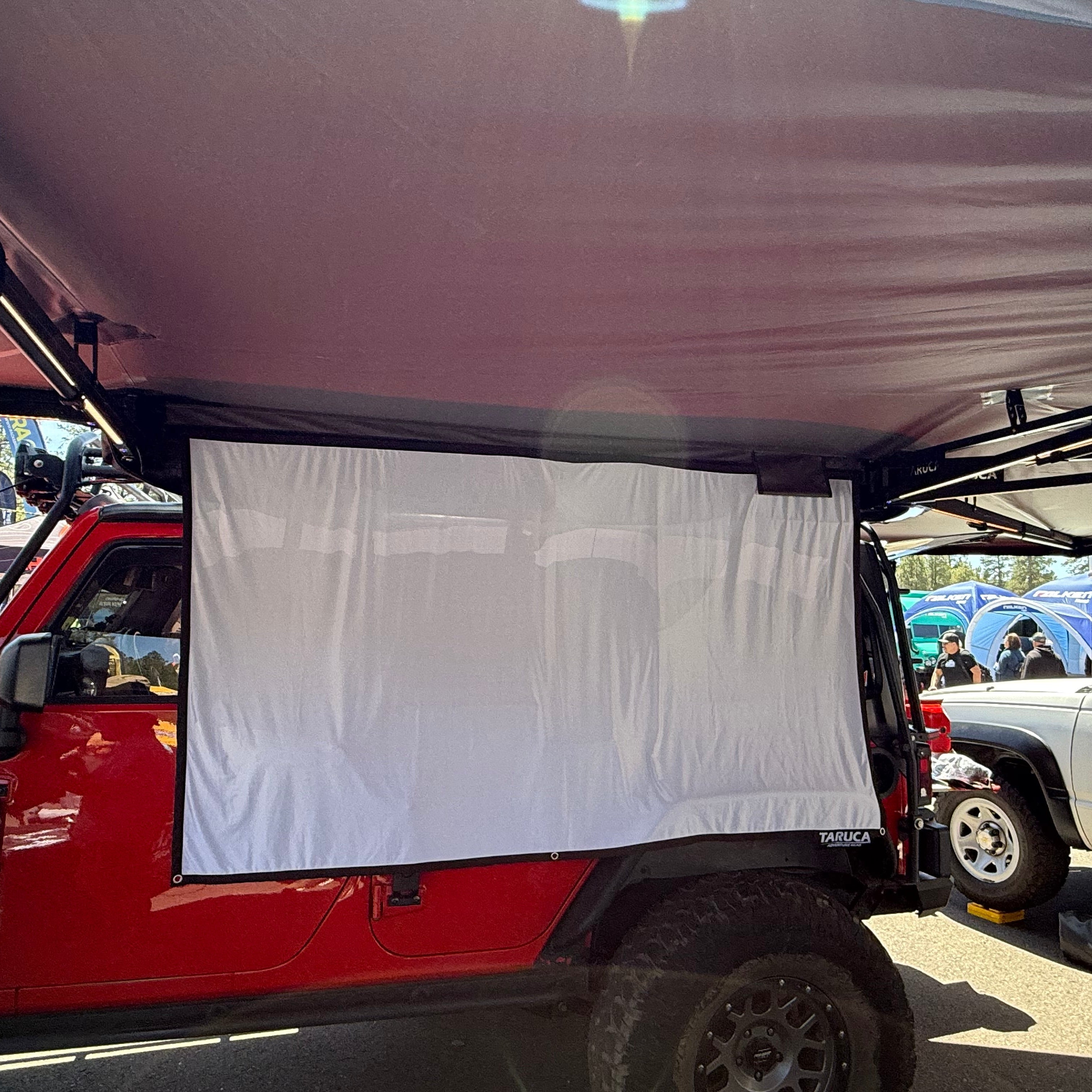 Outdoor Theater - Projector Screen