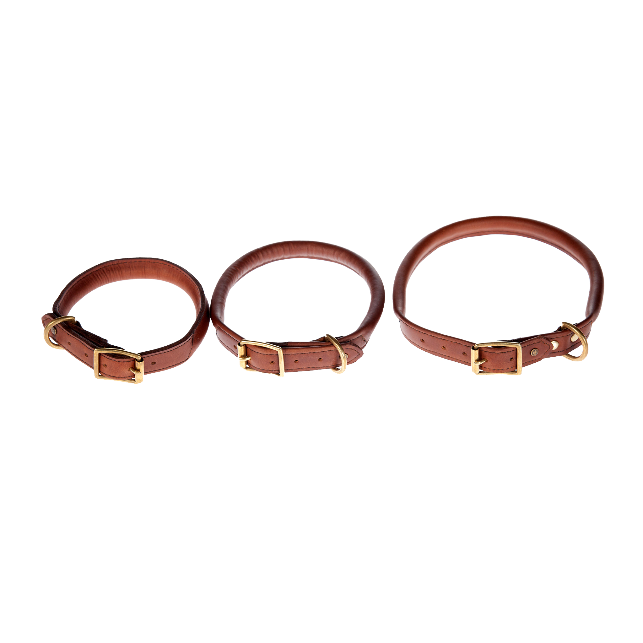 Dog Collar Melvill & Moon USA- Overland Kitted