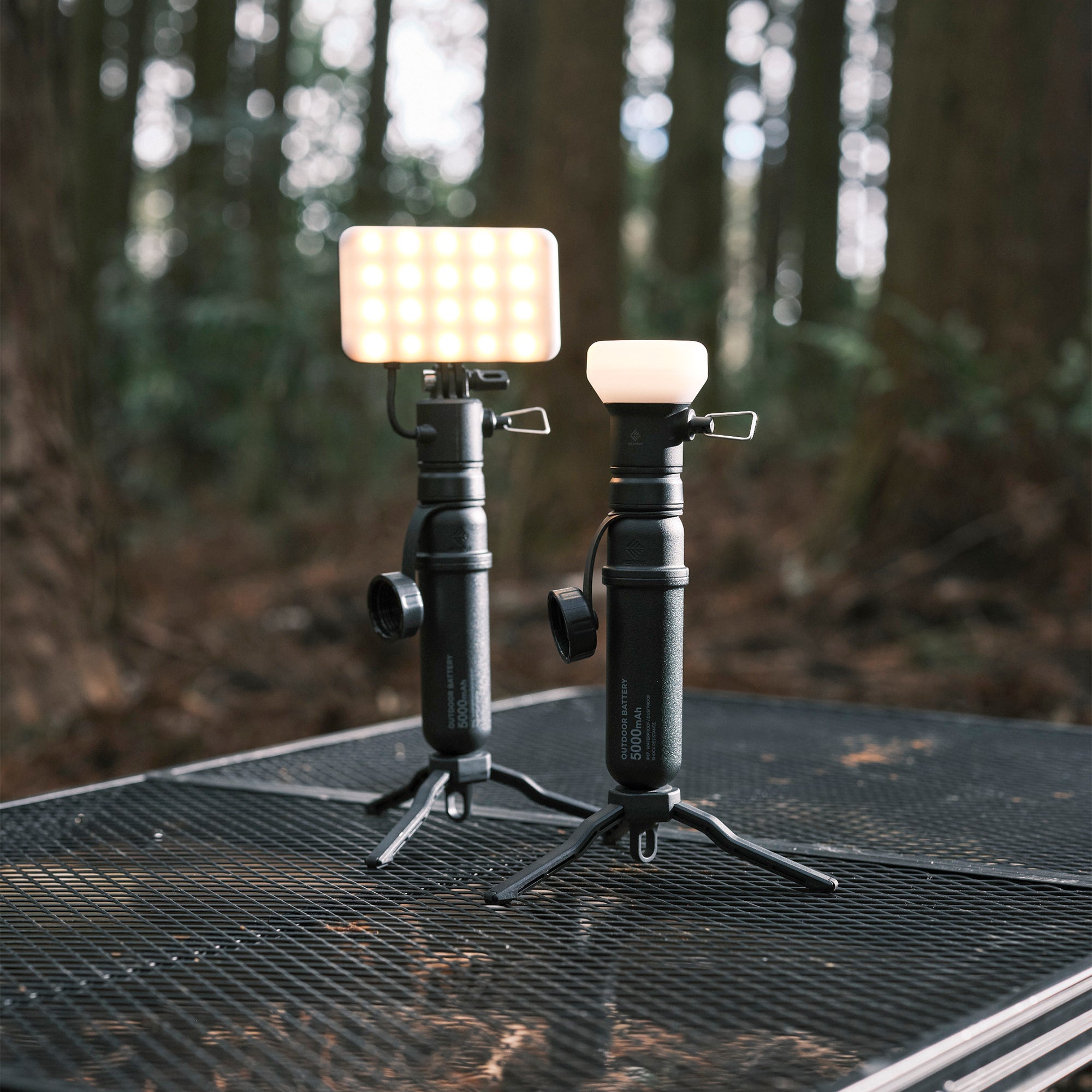 FLASH-1 LED Light