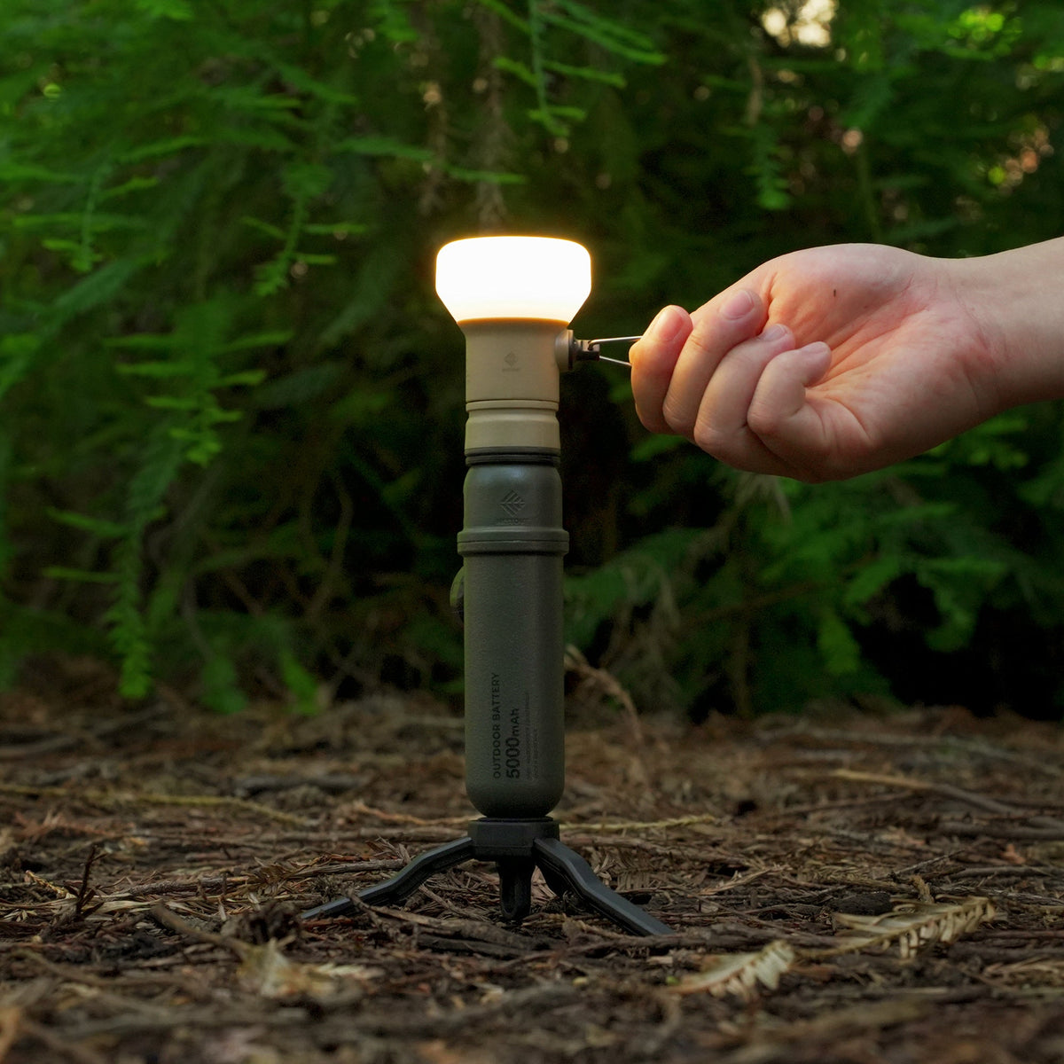 LAMP-1 Lantern Light