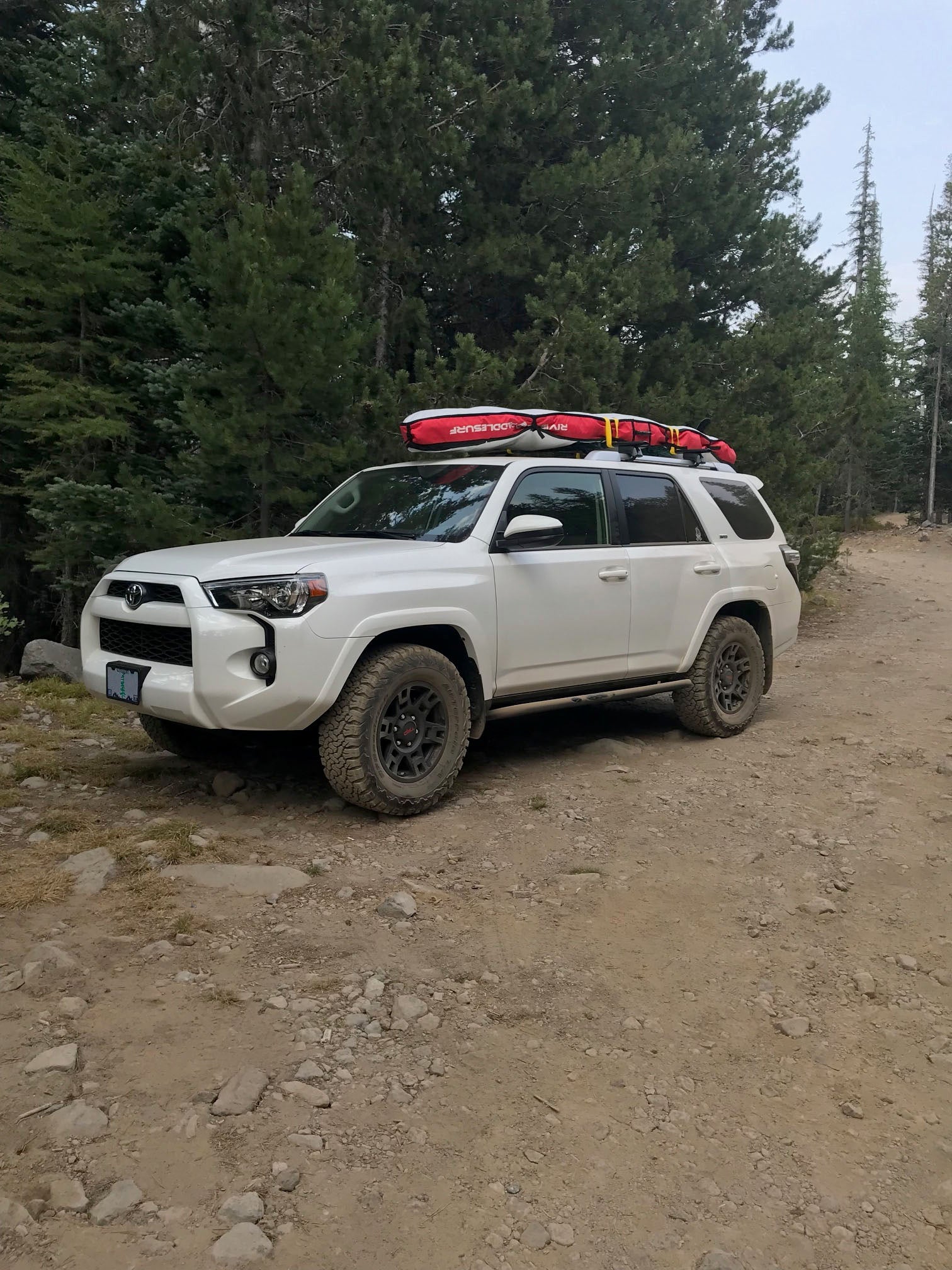 2010-2024 Toyota 4Runner Angled Sliders