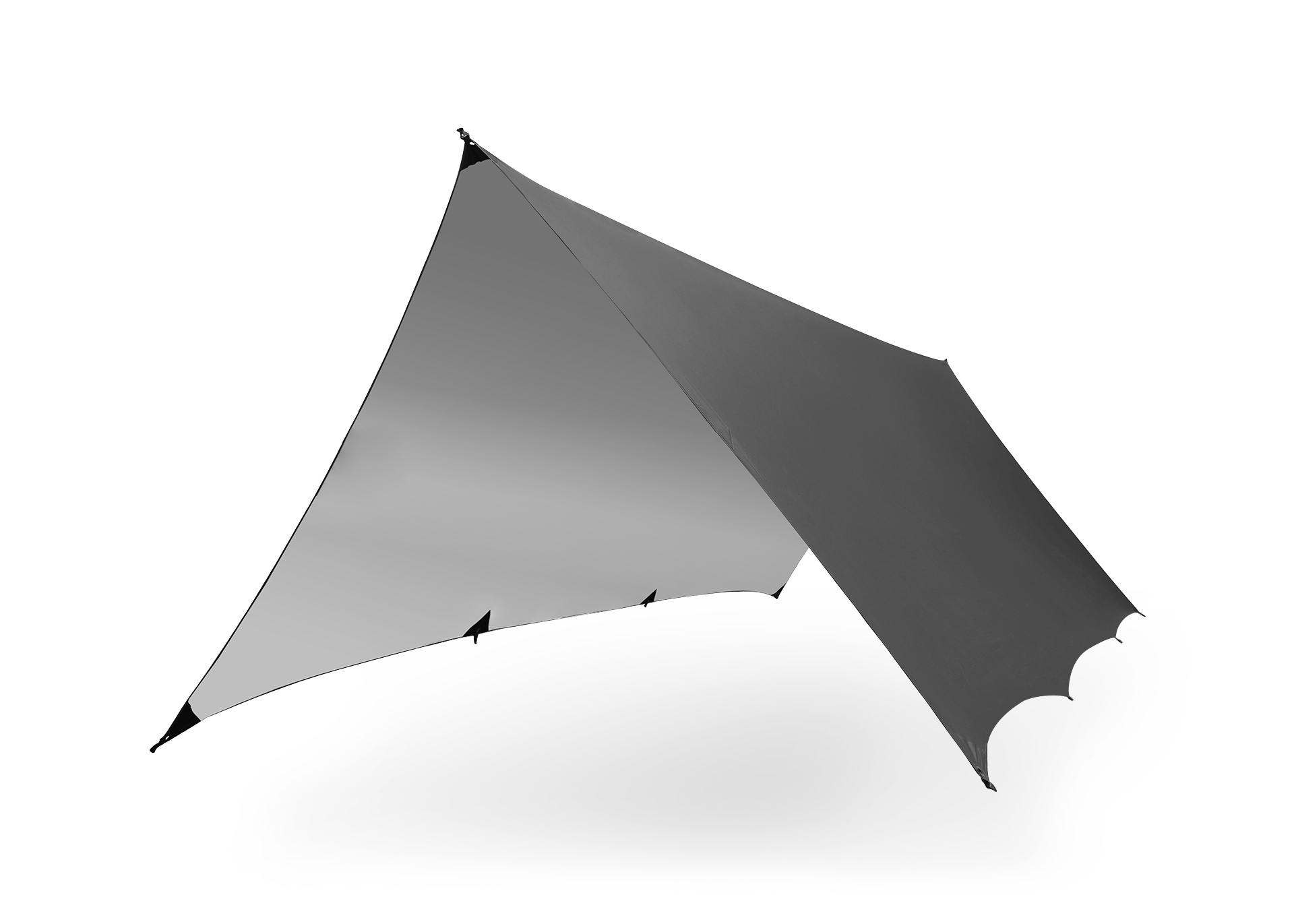 Kuhli Pro