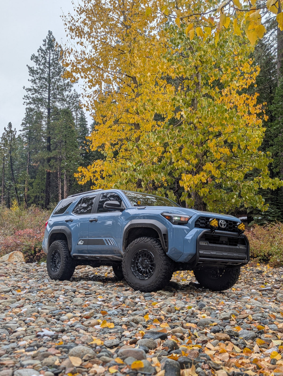 CAtuned Off-Road Toyota 4Runner Brush Bar