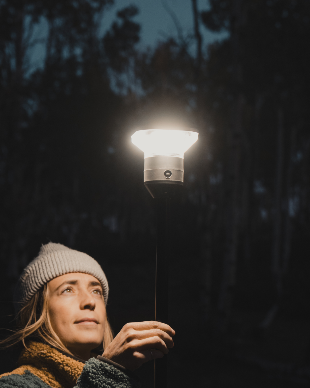 Person holding a lantern in a dark forest