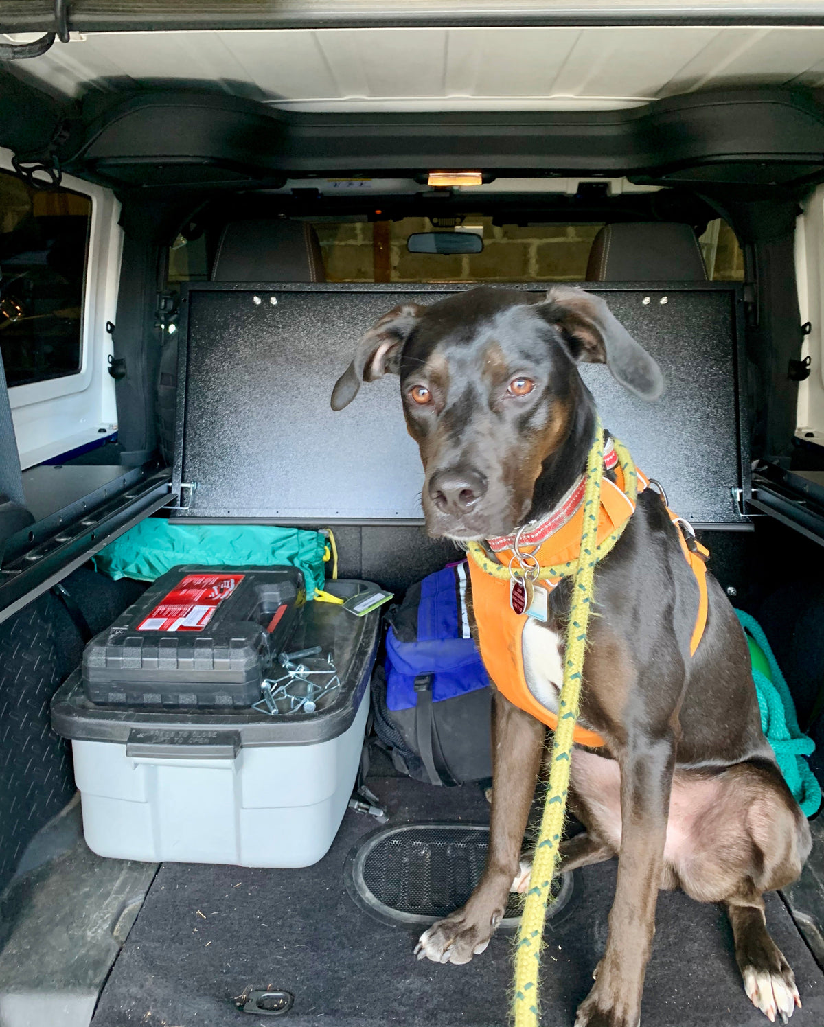Dog sitting in a JK cargo area in front of an open Slipstream
