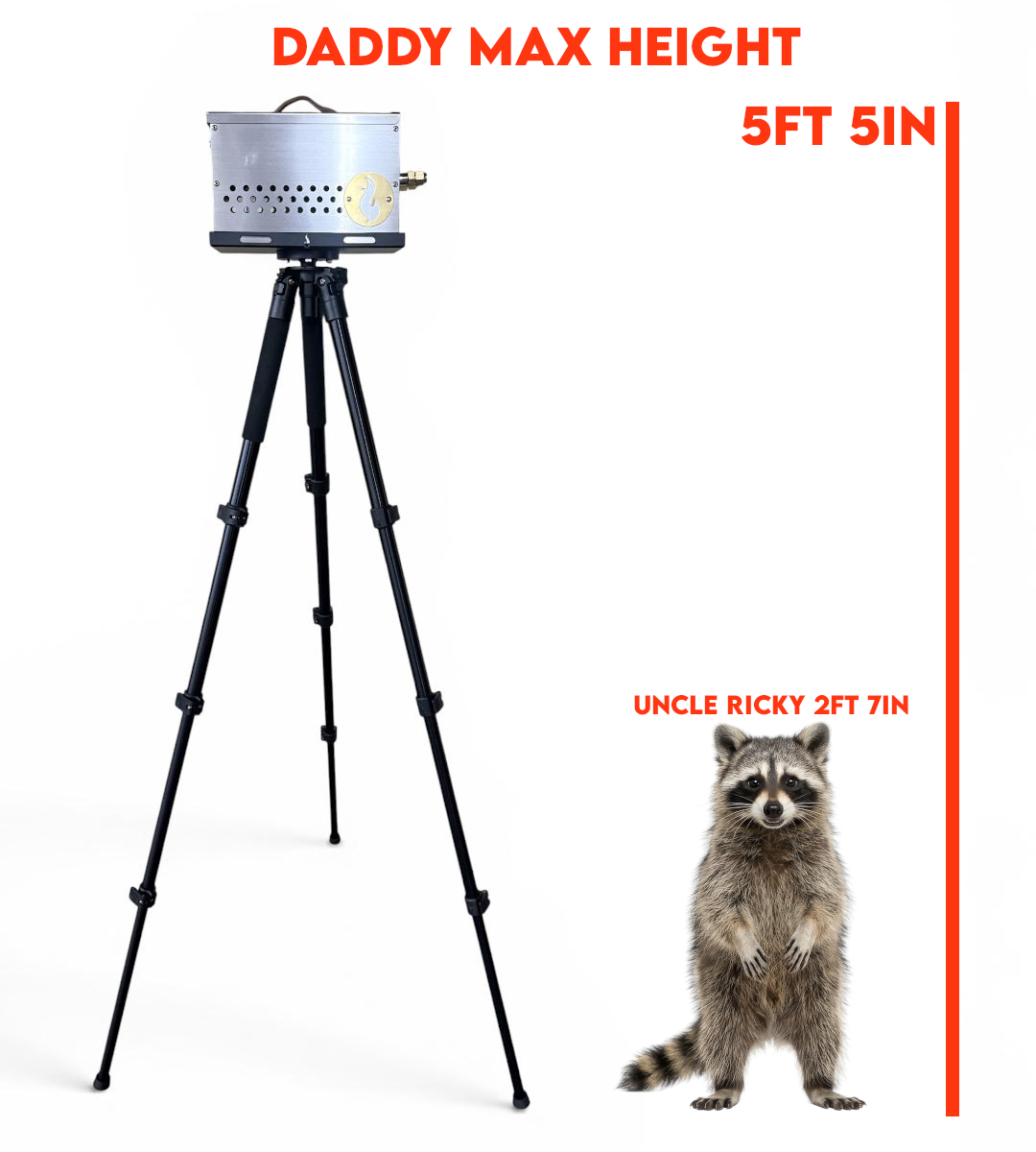 Marketing height comparison graphic for the Daddy Long Legs stand shown next to an illustrated raccoon for scale