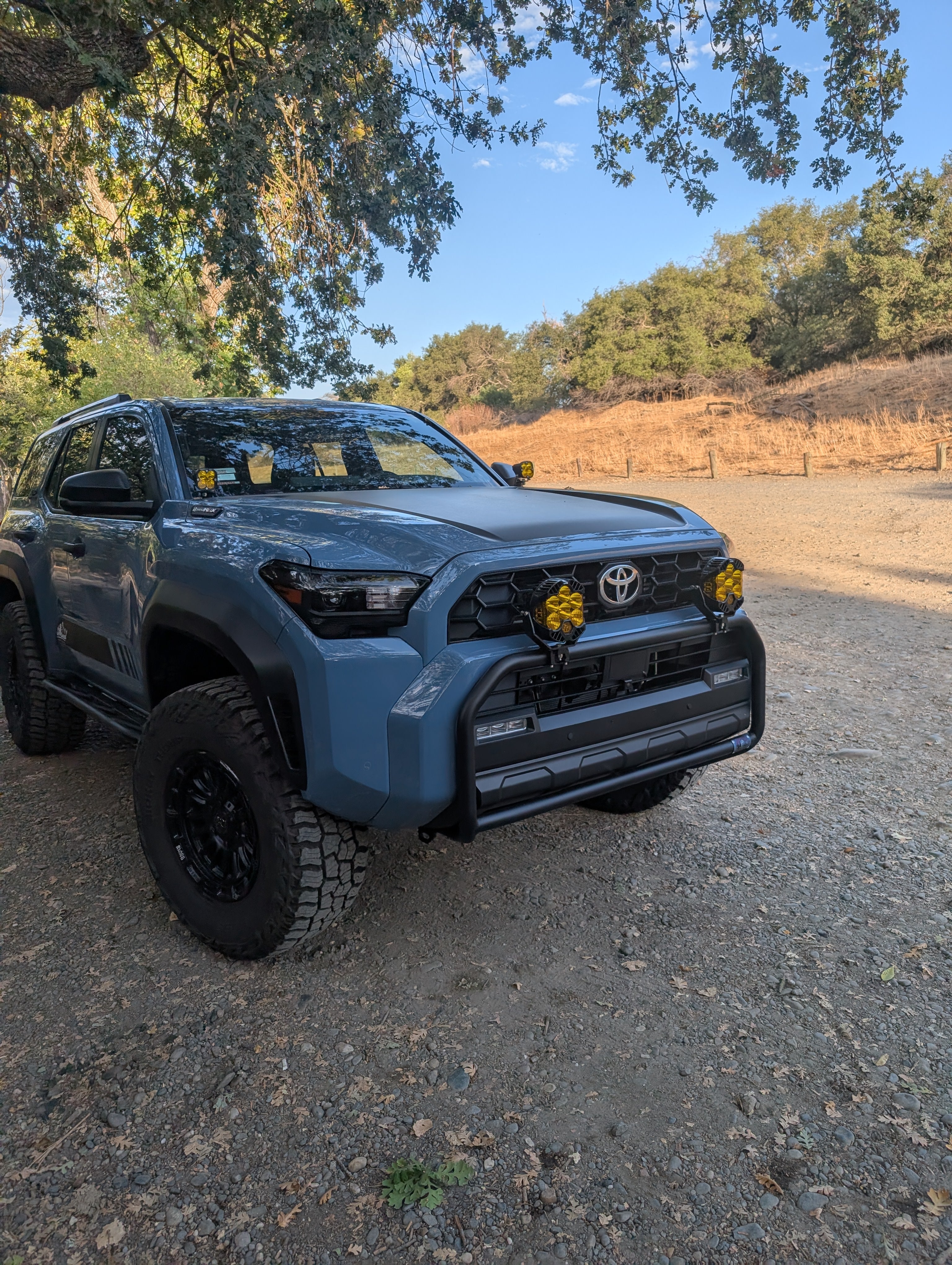 CAtuned Off-Road Toyota 4Runner Brush Bar