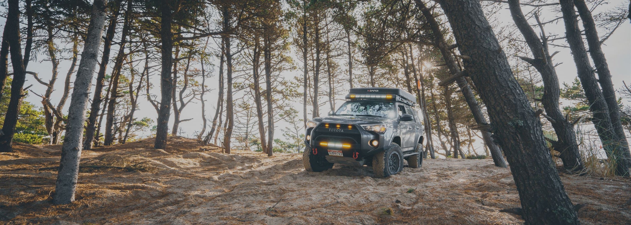 4Runner [Vehicle Protection]