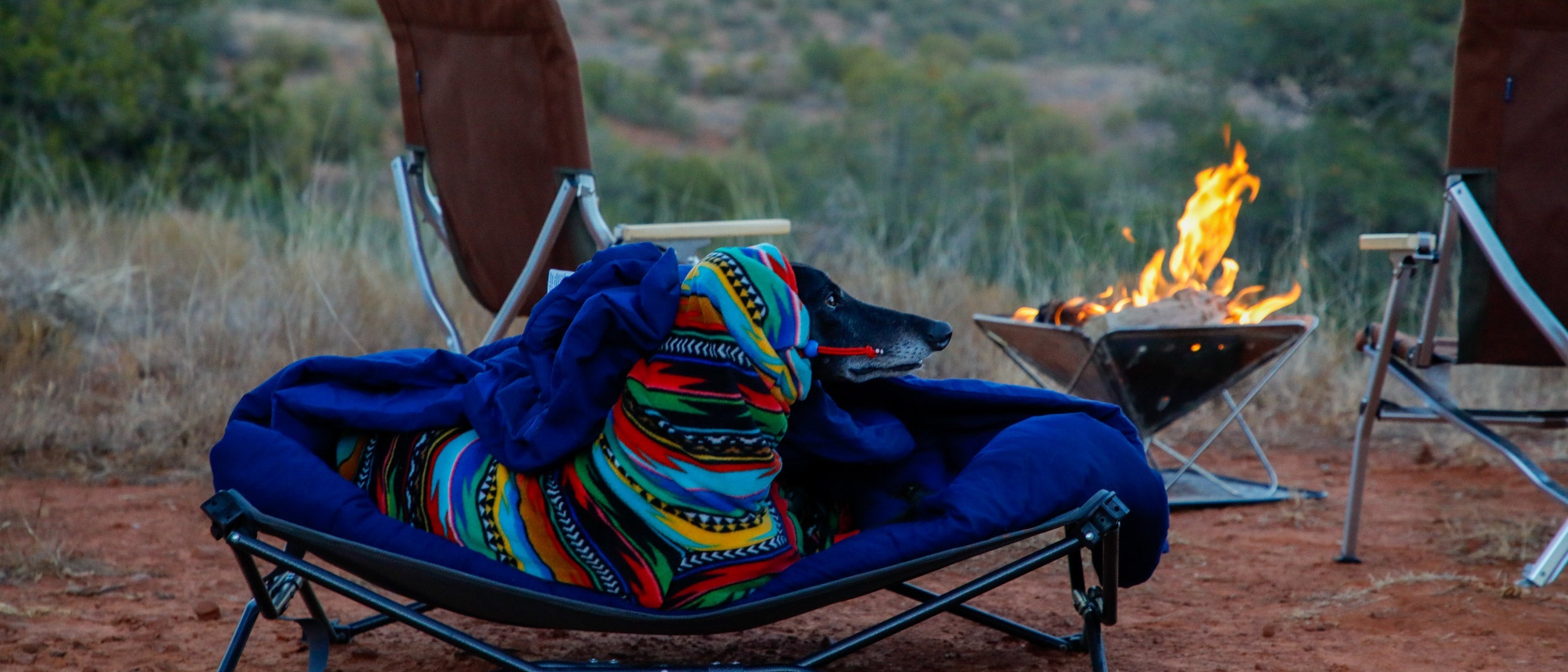 Dog gear inspired by Dakar, including travel bowls, harnesses, and sleeping mats for overland adventures.