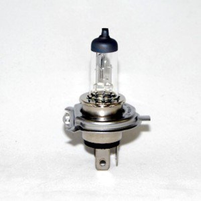 KC HiLiTES 12V H4 60/55W Halogen Replacement Bulb - Clear (Single), close-up