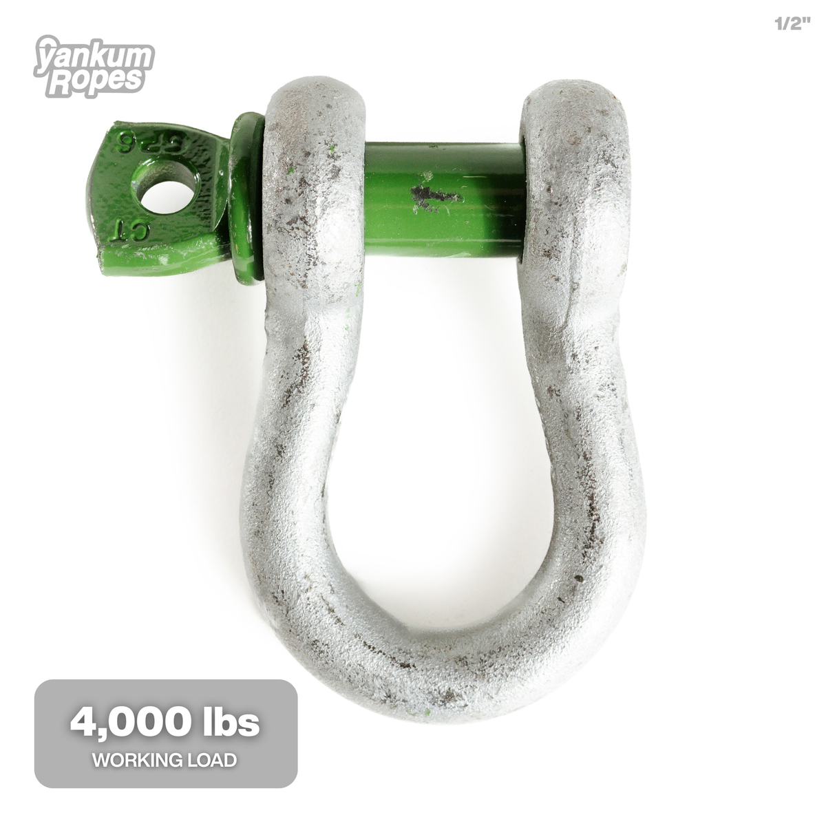 1/2" Green Pin Bow Shackle