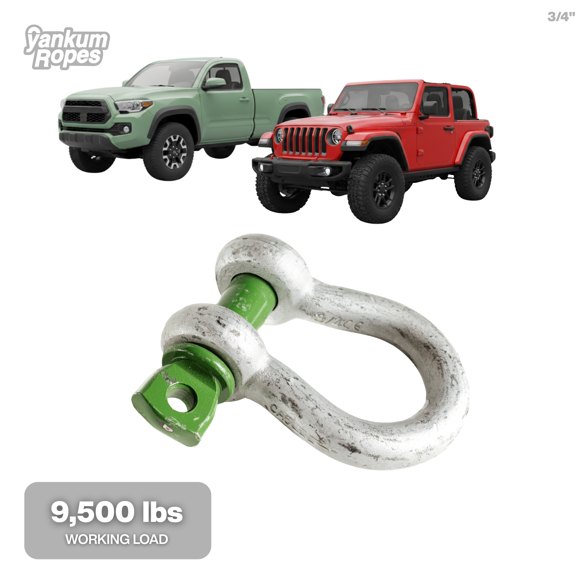 Green Pin Bow Shackle SC