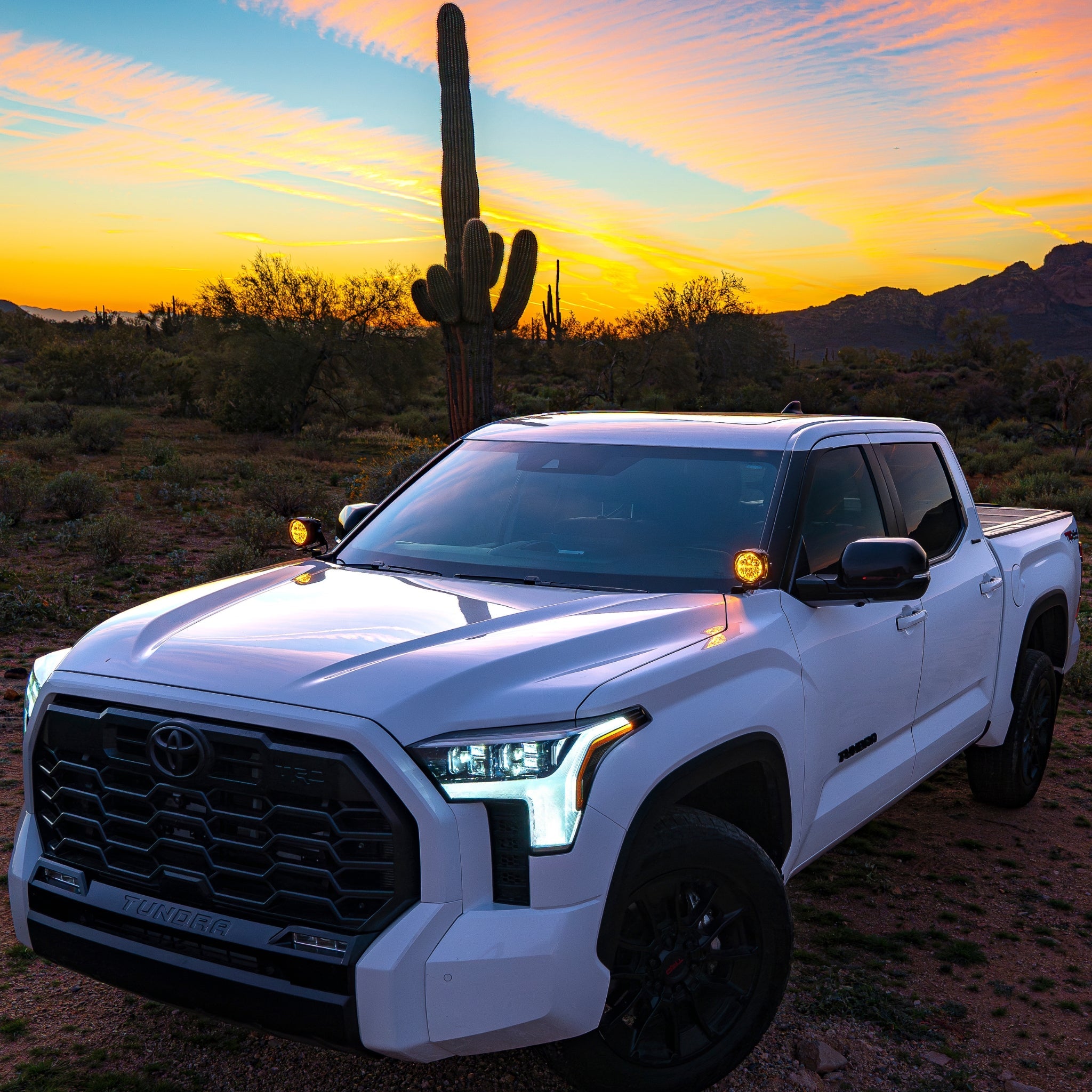 NACHO Quatro Supreme Adventure