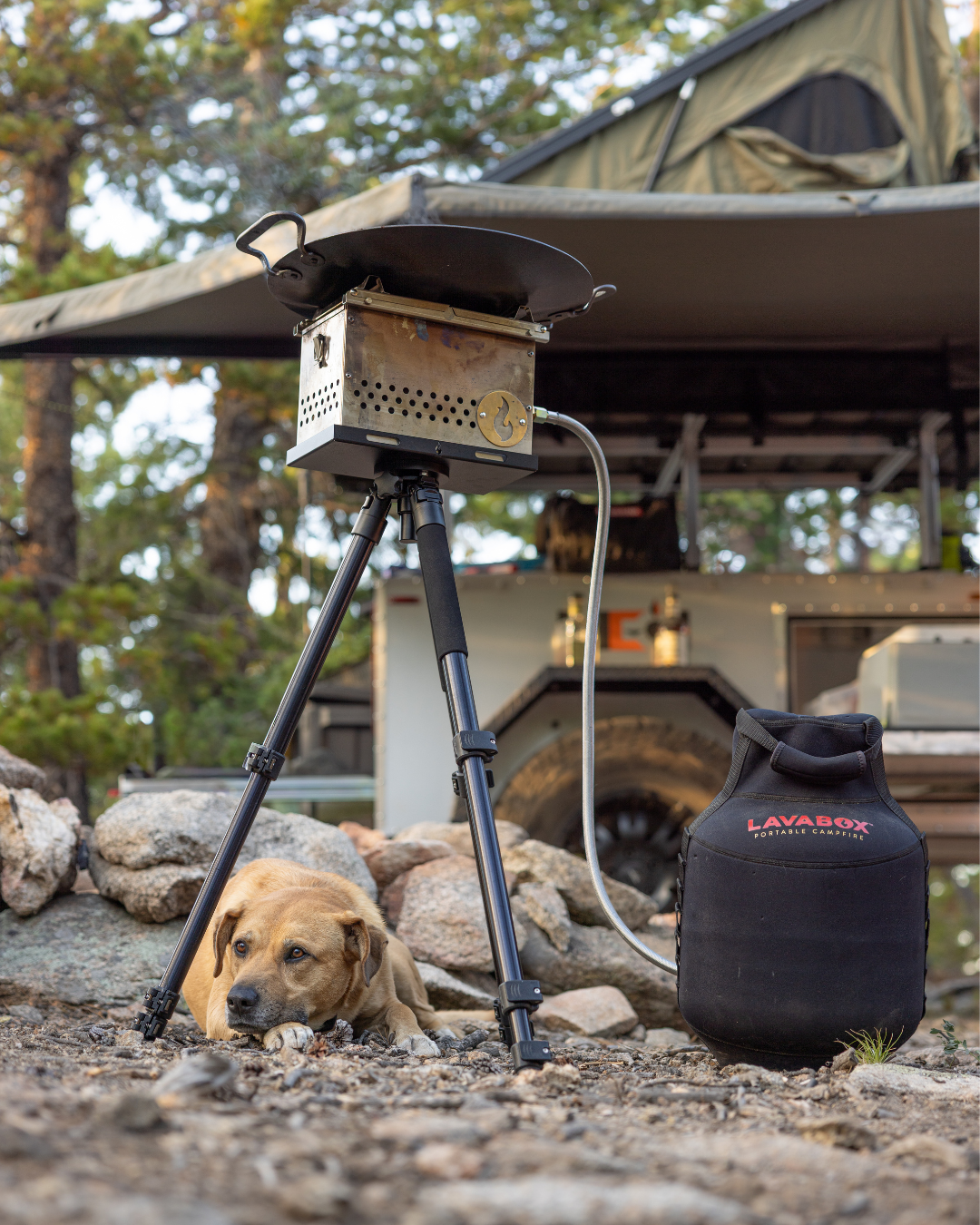 Outdoor campsite photo of a firebox on its tripod stand beside a propane tank and a dog resting nearby