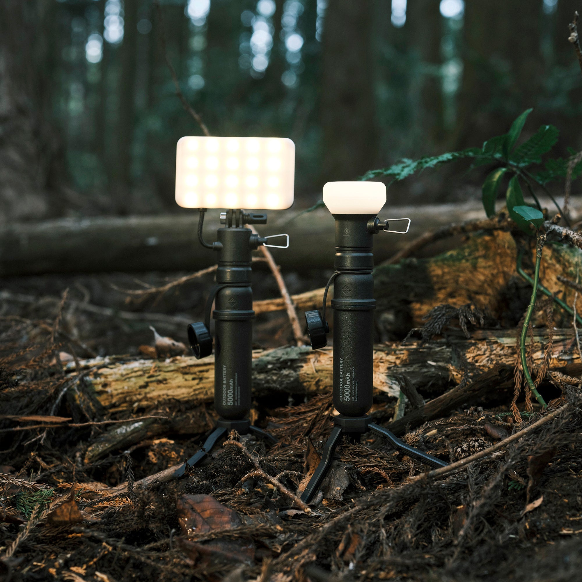 FLASH-1 LED Light