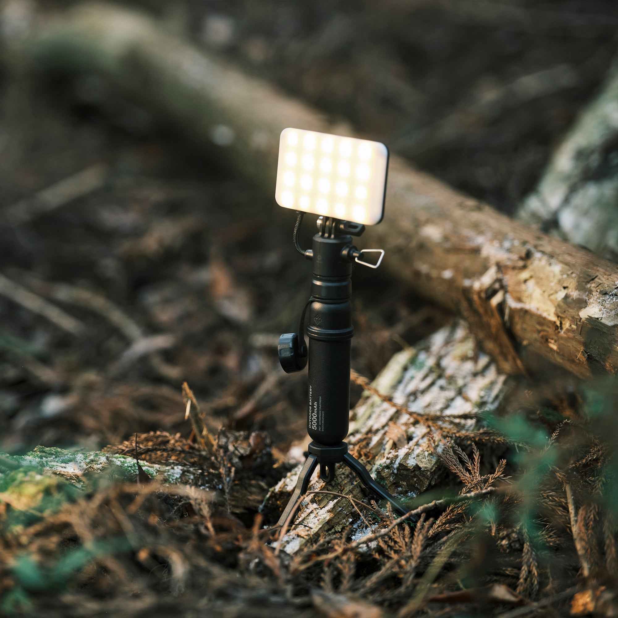FLASH-1 LED Light