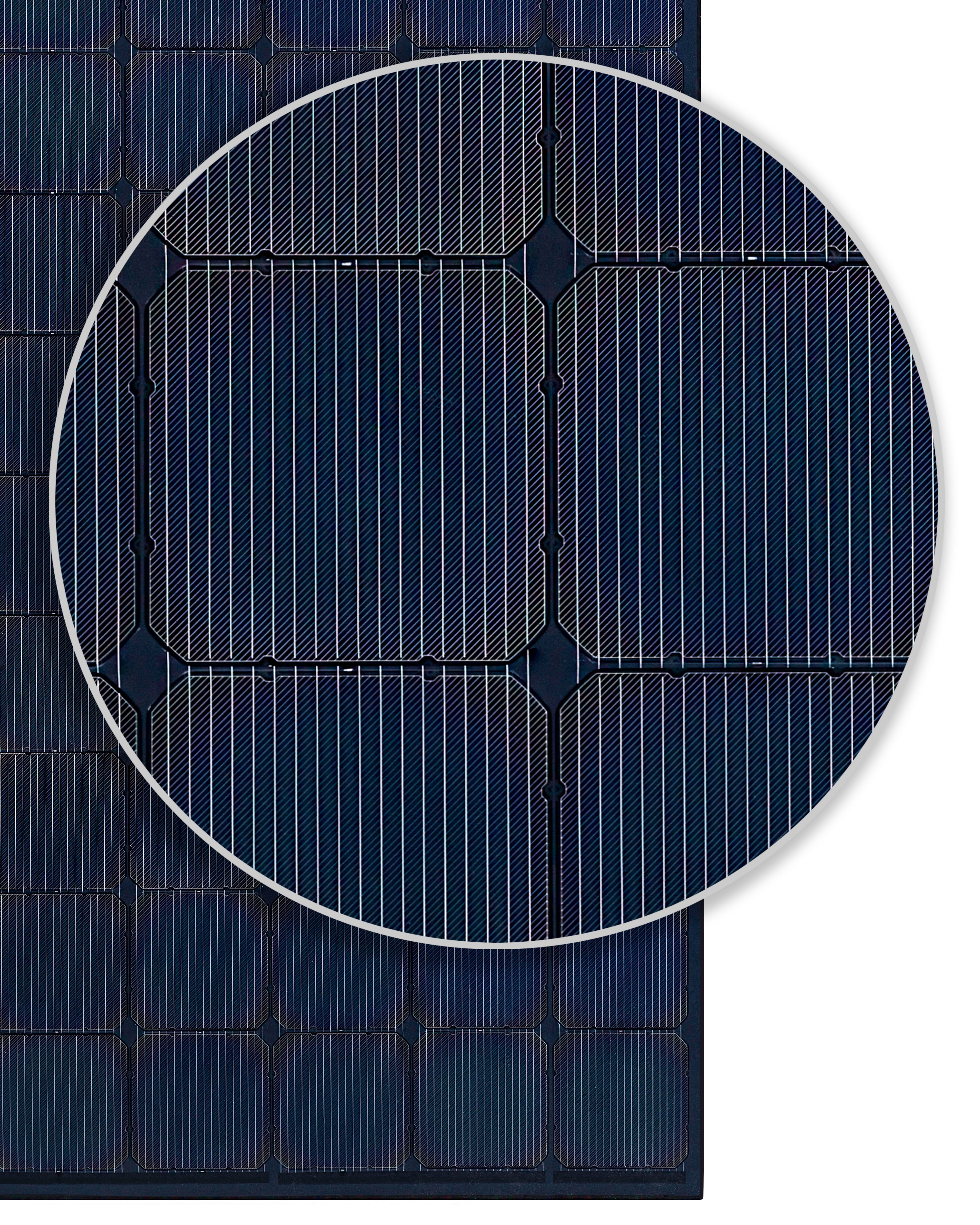 XPLOR FLEX + 140W / Adventure Panel