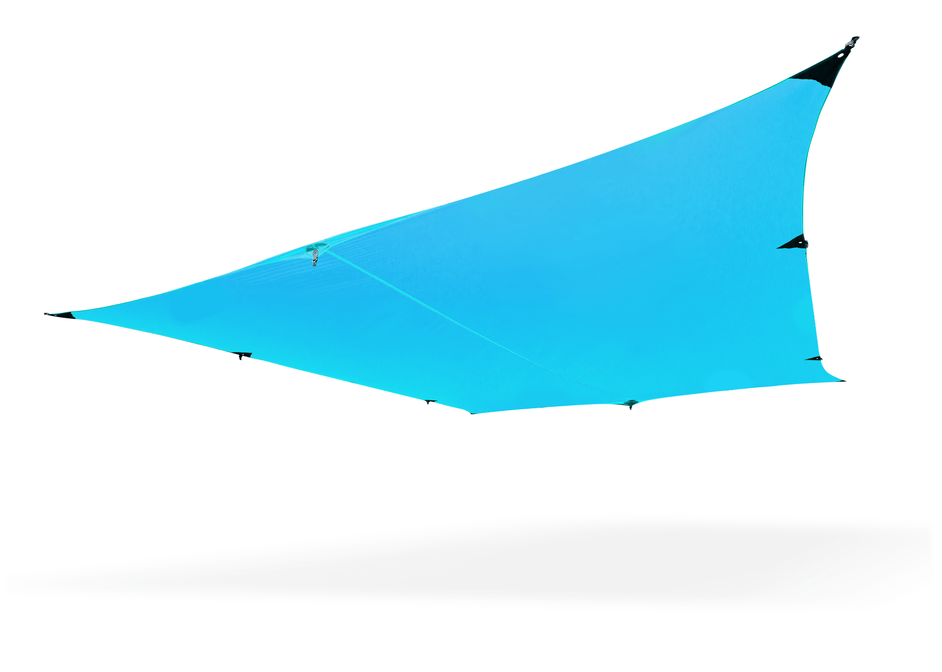 Kuhli