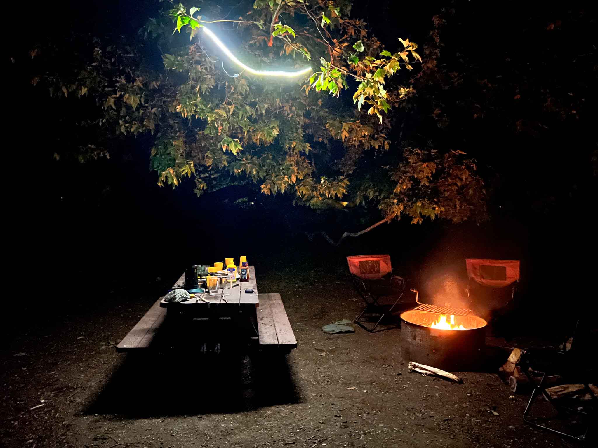 Flex Camp Lights CAMPSITE C6 Outdoor- Overland Kitted