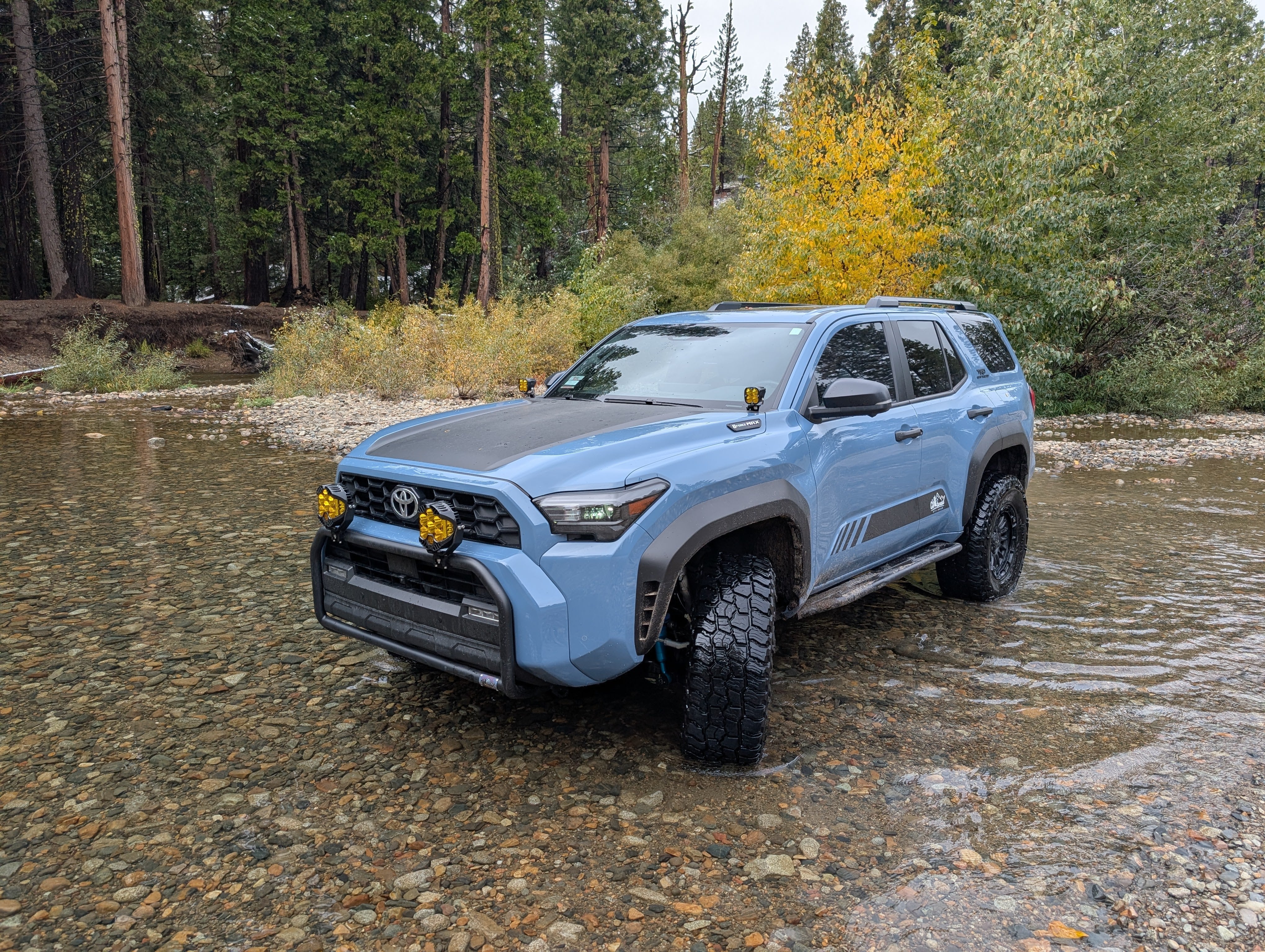 CAtuned Off-Road Toyota 4Runner Brush Bar