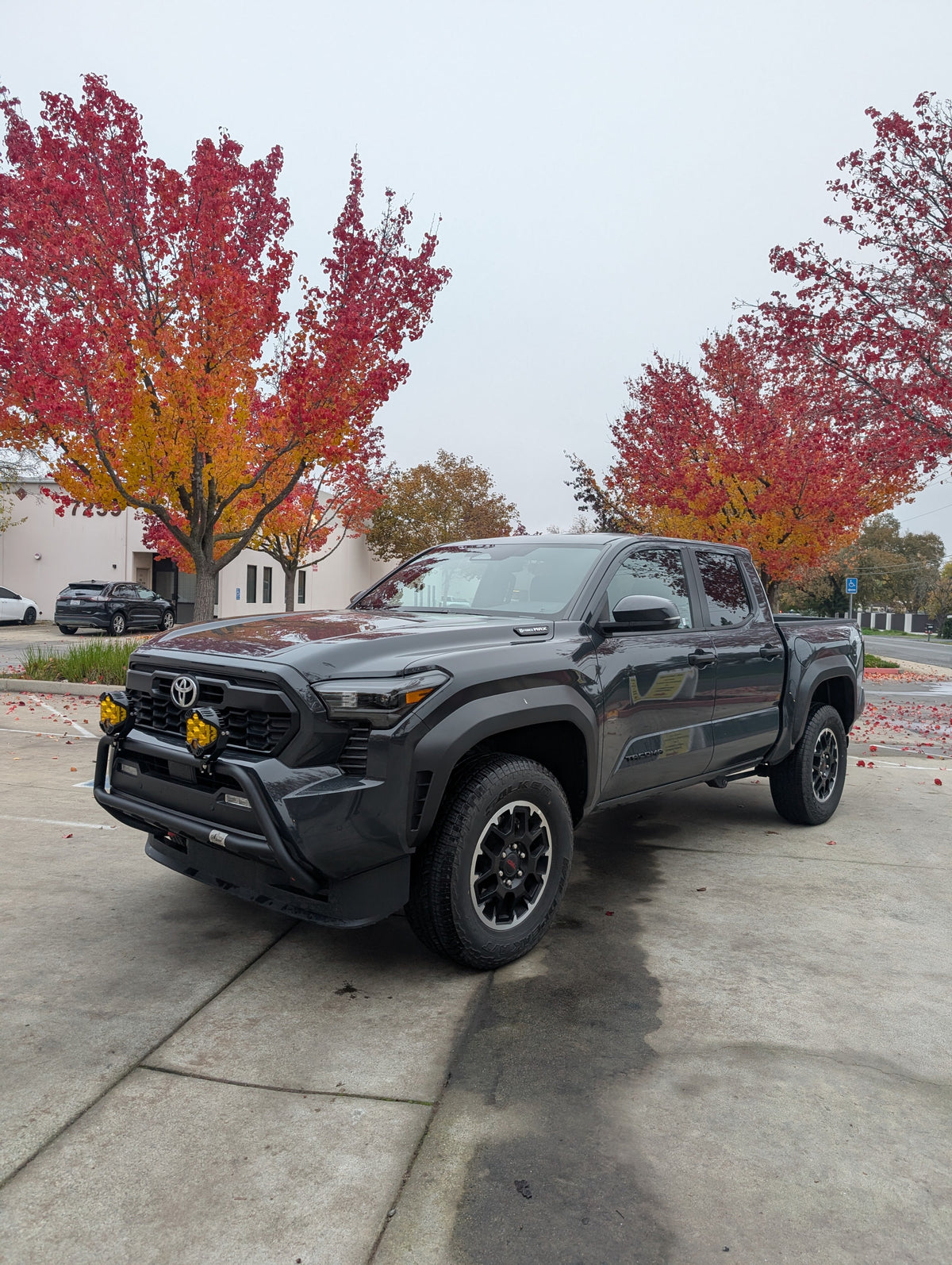 Gray Toyota truck from a low angle with autumn trees behind