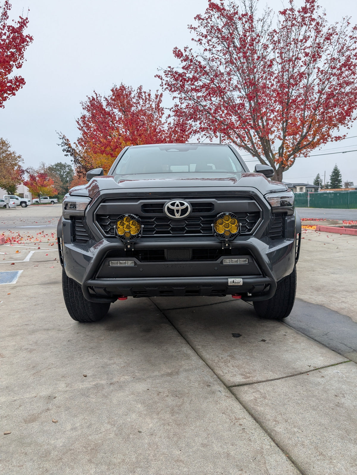 Front view of a gray Toyota truck with a black brush bar and amber light pods beside a red tree