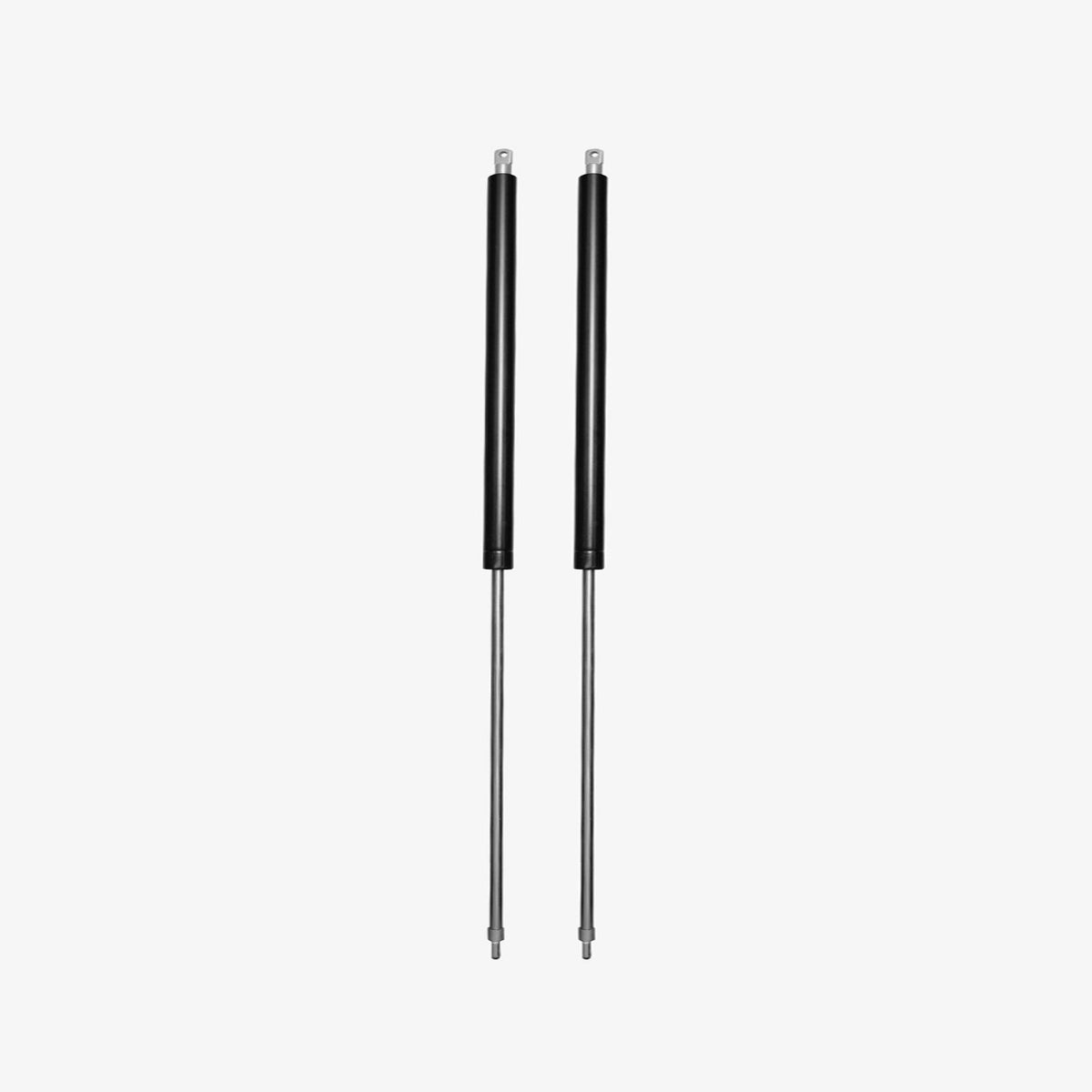 Pair of black gas struts