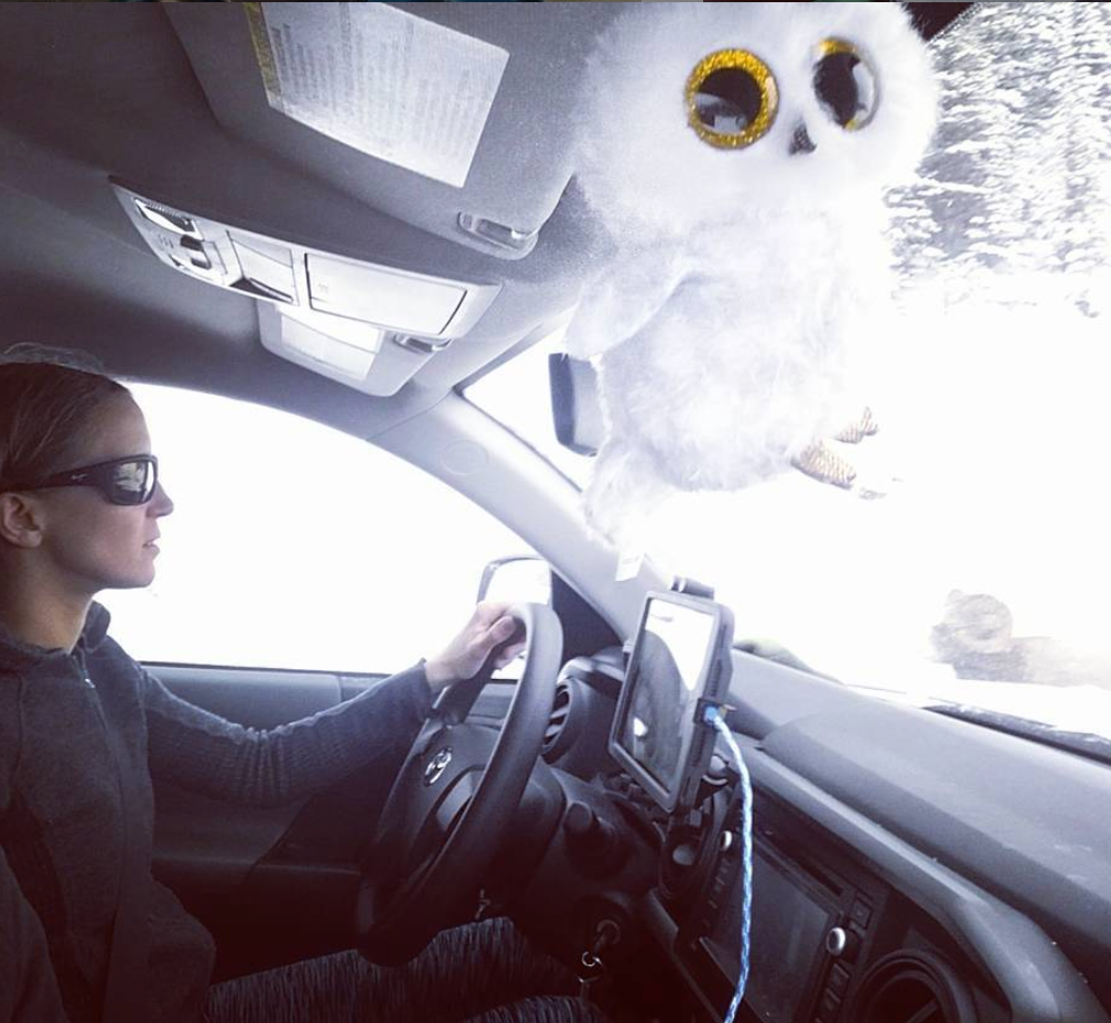 Un-Holey Tacoma Dash Mount Hondo Garage- Overland Kitted