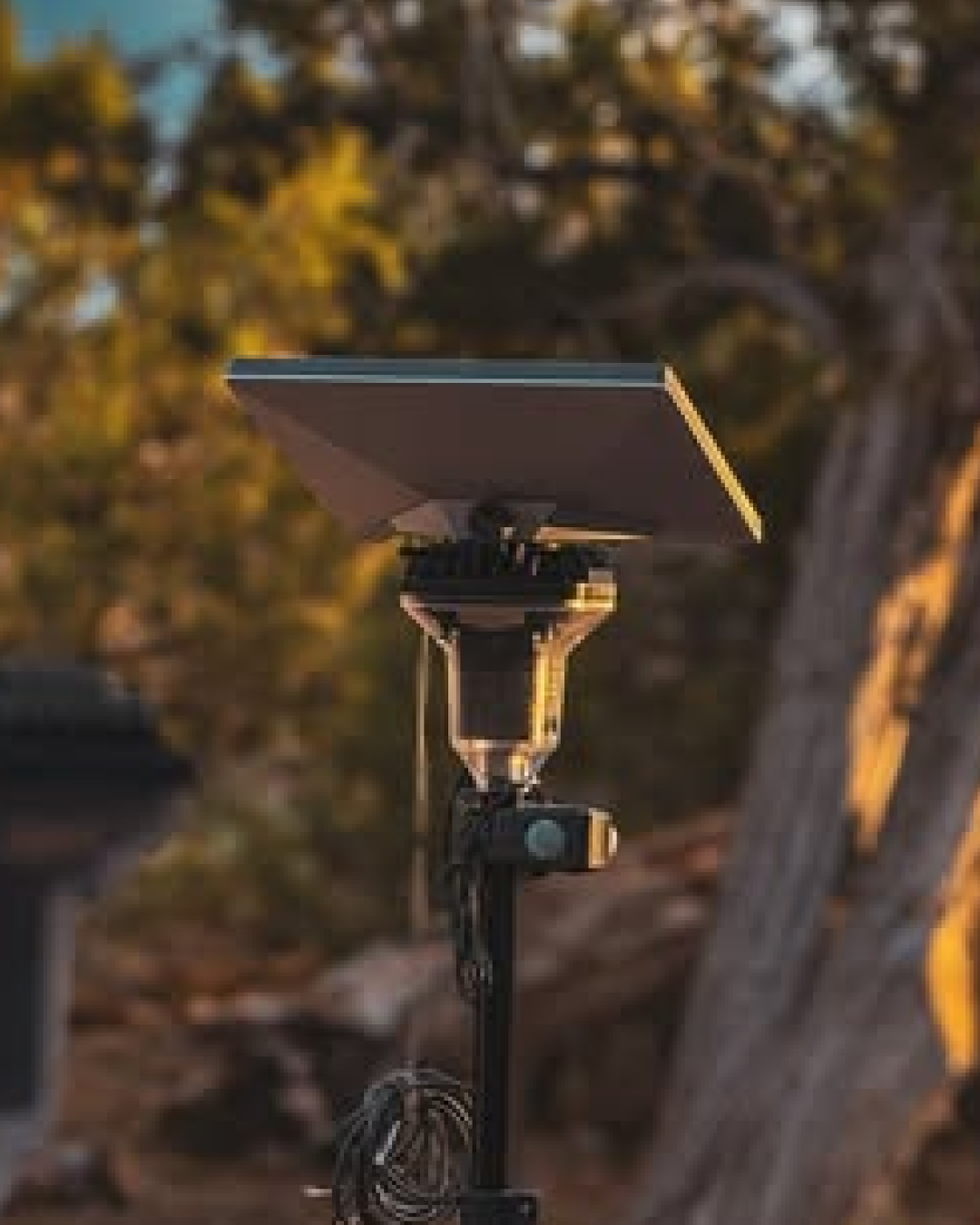 Starlink on a stand with trees and natural light in the background