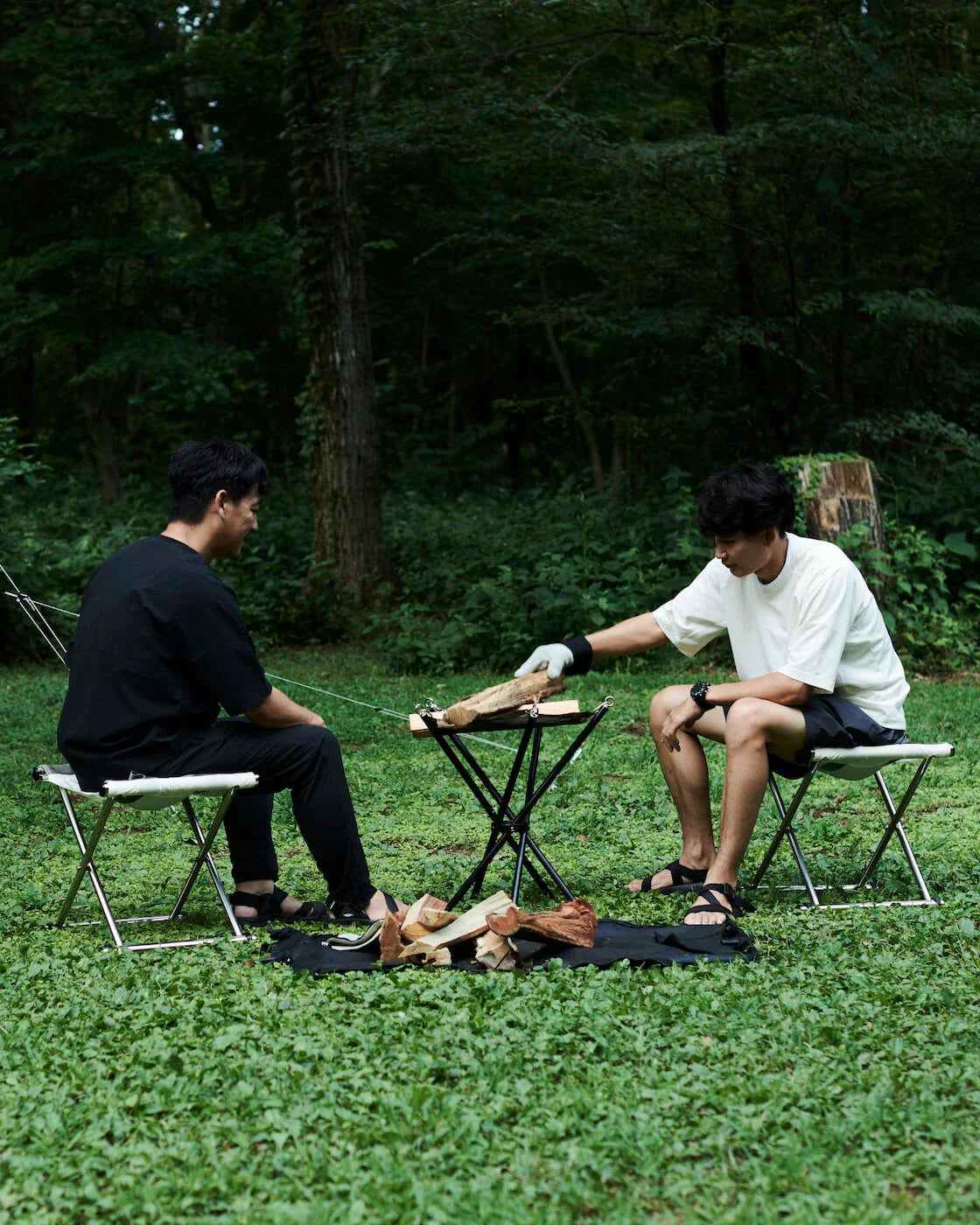 Muraco Star Torch Fifty