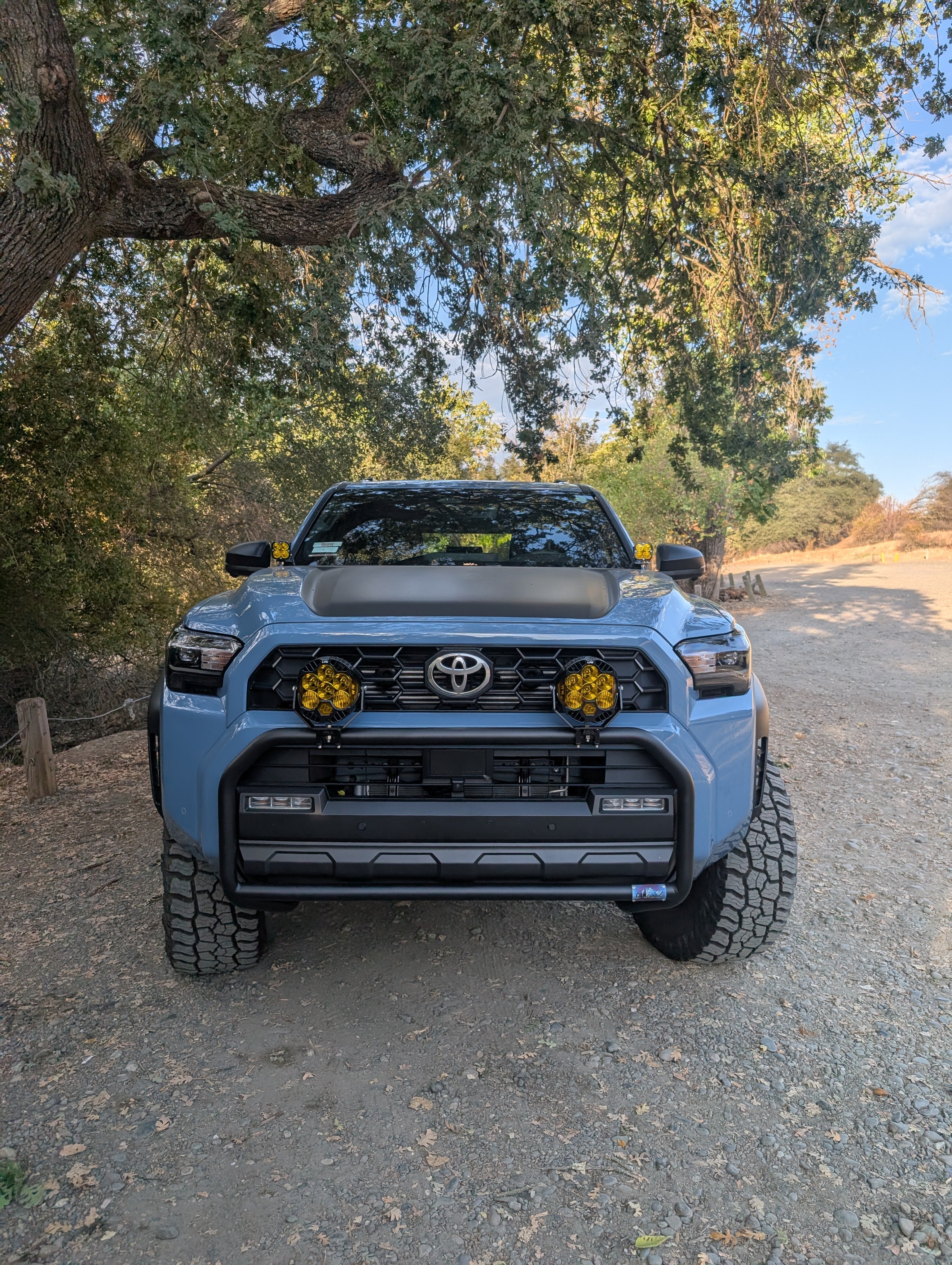 CAtuned Off-Road Toyota 4Runner Brush Bar