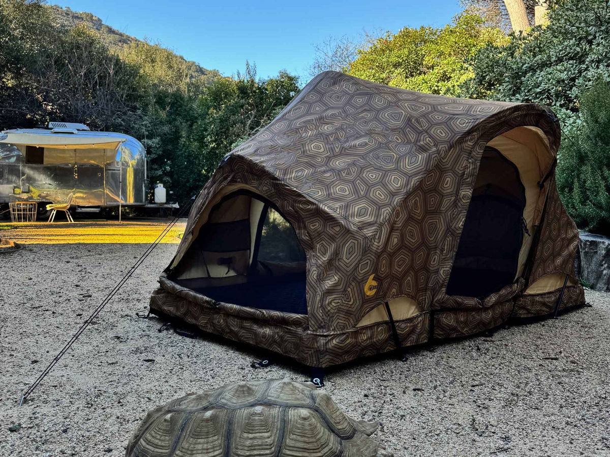 C6 Outdoor Rev Rooftop Tent X (Shellter)